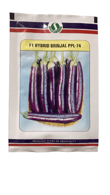 ppl-74 f1 hybrid brinjal (sungro seeds)