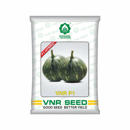 VNR P1 F1 Hybrid Pumpkin (VNR seeds) - Farmers Stop