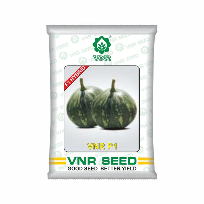VNR P1 F1 Hybrid Pumpkin (VNR seeds)