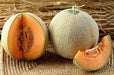 patasha f1 hybrid muskmelon (kalash seeds)
