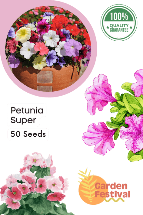 petunia super mix (garden festival)