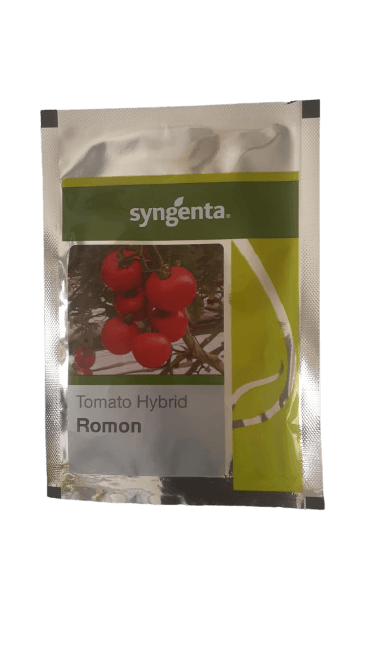 romon f1 hybrid tomato seeds / syngenta seeds