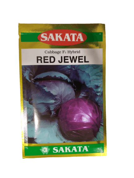 red jewel f1 hybrid cabbage  (sakata)