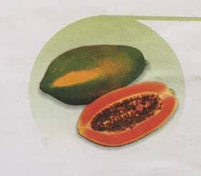 red royale/रेड रॉयल f1 papaya (east west seeds)