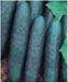 rohini/रोहिणी cucumber (seminis)