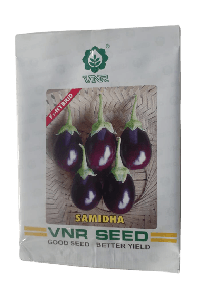 samidha f1 hybrid brinjal (vnr seeds)