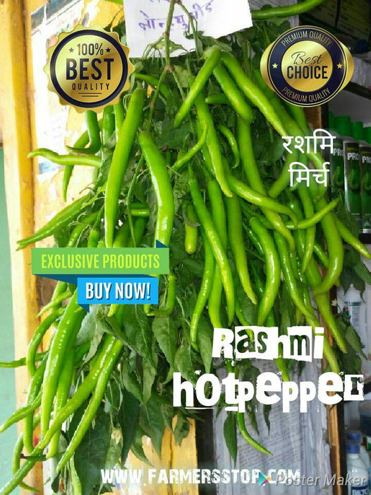 rashmi/रश्मी hot pepper (known you seeds)