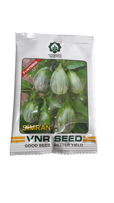 simran f1 hybrid brinjal (vnr seeds)