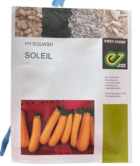 soleil f1 hybrid zucchini (enza zaden)