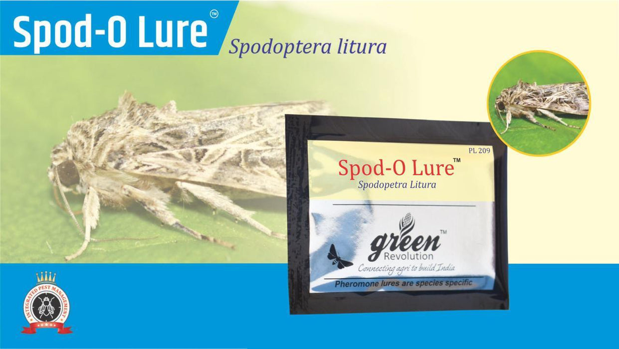 spod-o-lure and pheromon trap-spodoptera litura(green revolution) 10 nos lure