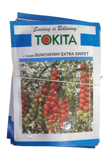 suncherry extra sweet f1 hybrid cherry tomato (tokita seeds)