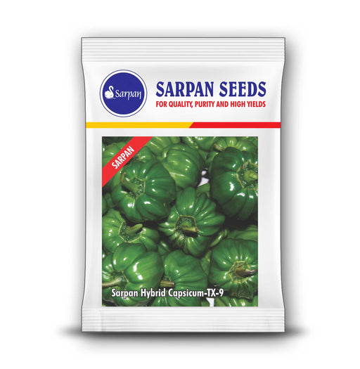 sarpan tx-9 hybrid capsicum (sarpan seeds)