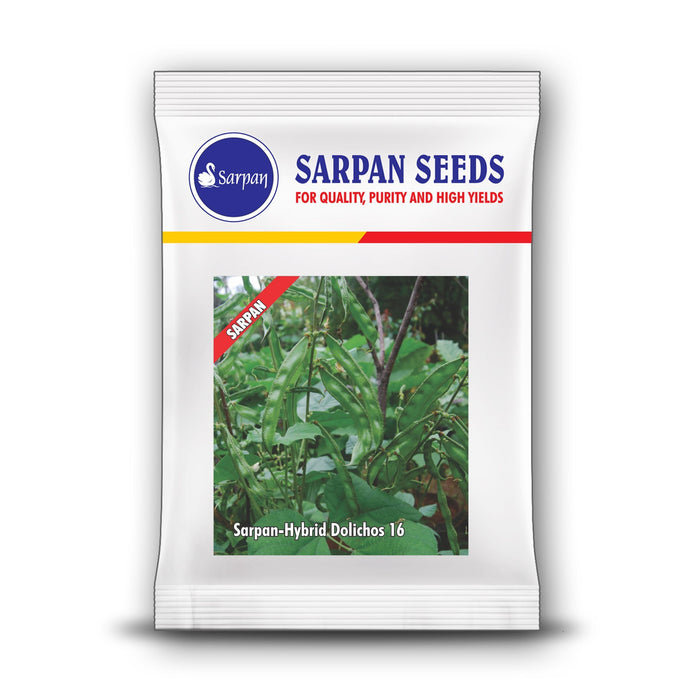 dolichos  -16 bush type dolichos all season (sarpan seeds)