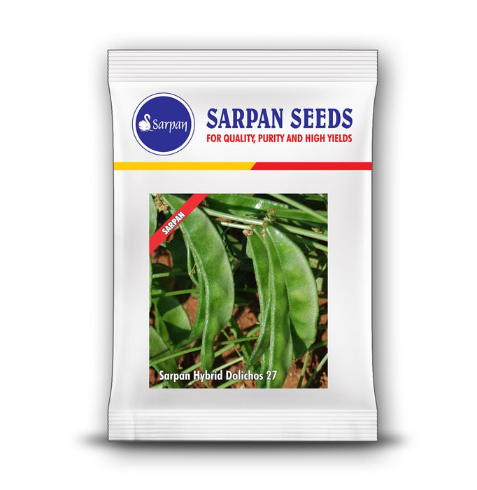 dolichos  - 27 bush type  vegetable dolichos all season (sarpan seeds)