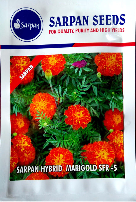 sfr-5 french marigold (sarpan seeds)