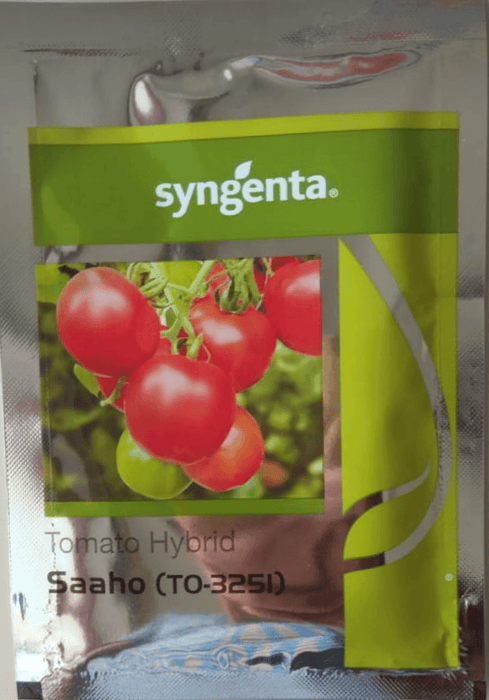 saaho (to-3251) tomato (syngenta)