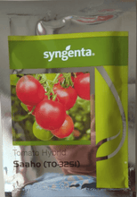saaho (to-3251) tomato (syngenta)