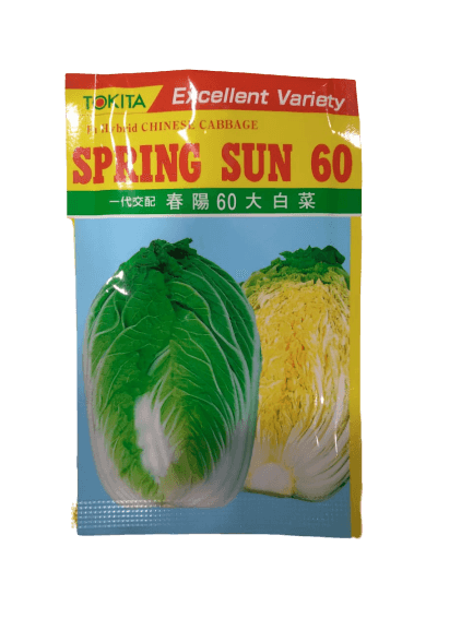 spring sun 60 chinese cabbage (tokita)