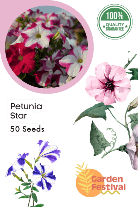 petunia star mix (garden festival)
