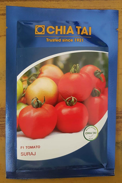 suraj/सूरज hybrid tomato (chia tai seeds)