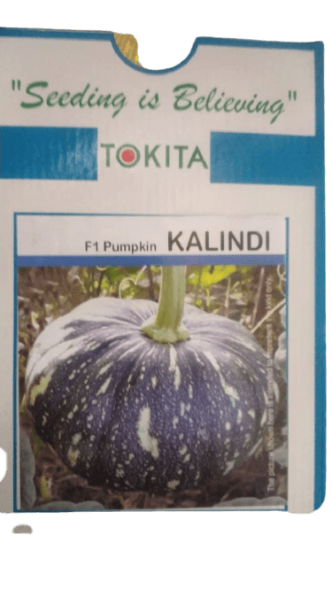 kalindi f1 hybrid pumpkin (tokita seeds)