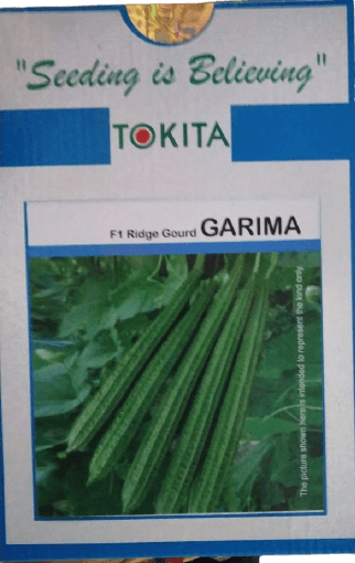 garima f1 hybrid ridgegourd (tokita seeds)