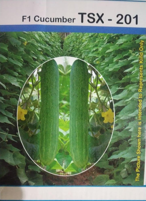tsx-201 f1 hybrid cucumber (tokita seeds)