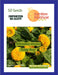 helianthus annuus ‘teddy bear’ sunflower (garden festival)