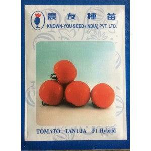 tanuja/तनूजा hybrid tomato (known you seeds)