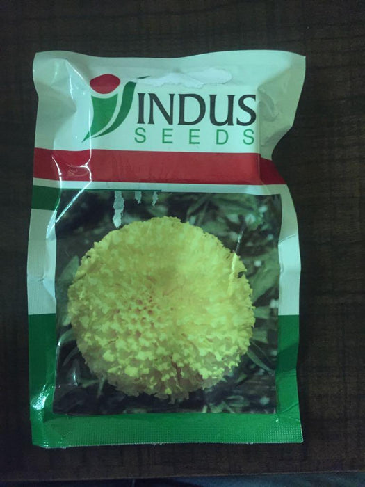 tennis ball  yellow marigold (indus seeds)