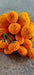 tennyson f1 hybrid orange marigold (konico seed's)