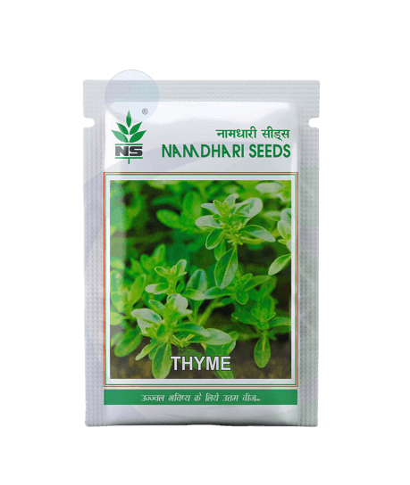 thyme exotic herb (naamdhari seeds)