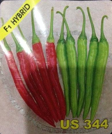 us 344 hot pepper (us agri seeds)