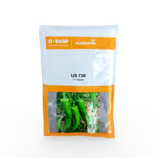 us730 f1 chilli hybrid chilli (basf | nunhems)