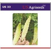 us 33/यूएस ३३ bittergourd (us agri seeds)