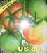 us 800/यूएस ८०० tomato (us agri seeds)