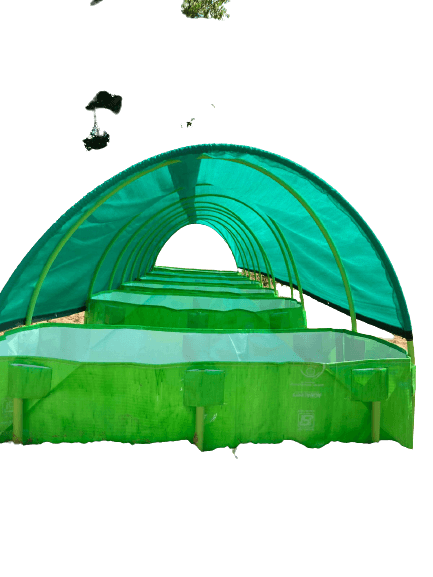 super quality 500 gsm hdpe, uv stabilize vermi bed for vermicompost with green net roof