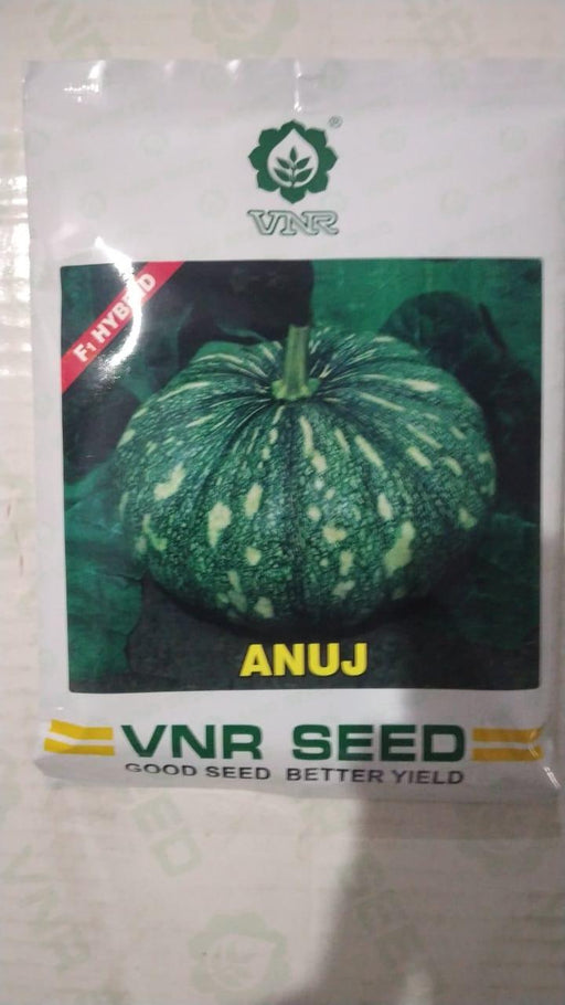 anuj f1 hybrid pumpkin (vnr seeds)