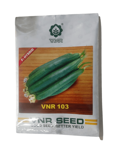 vnr-103 f1hybrid spongegourd (vnr seeds)