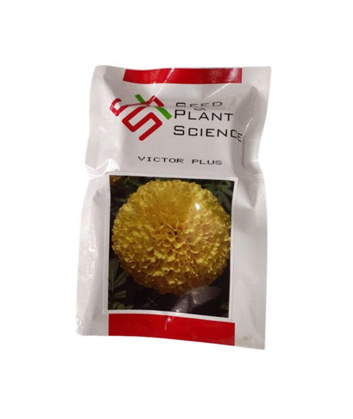 victor plus f1 hybrid marigold (seed & plant science)