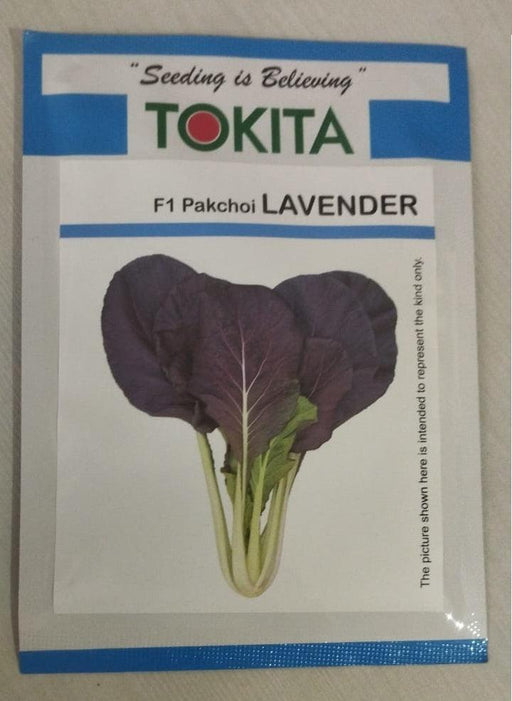 lavender f1 hybrid purple pakchoi (tokita seeds)