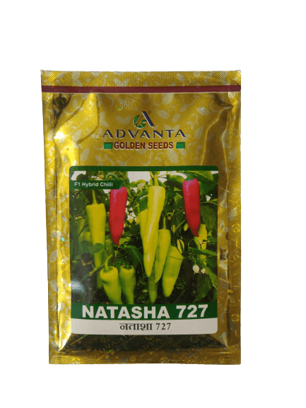 natasha 727 f1 hybrid chilli (advanta seeds)