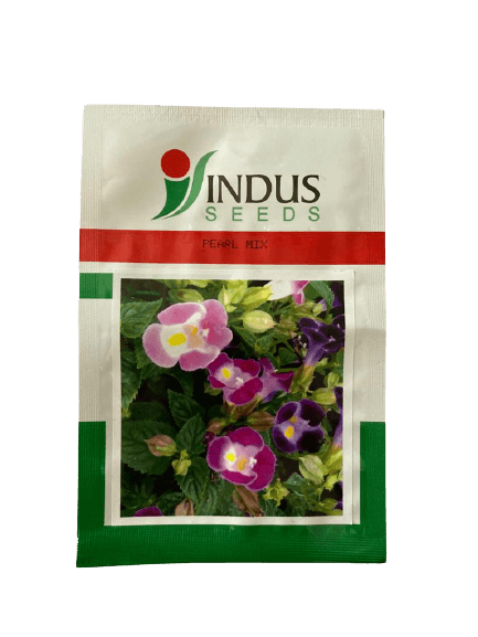 torenia f1 hybrid pearl mix (indus seeds)