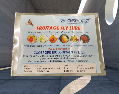 fruitage fly lure- for fruit fly (zoospore biological's)