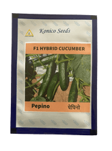 pepino f1 hybrid cucumber multi-fruting  (konico seeds)