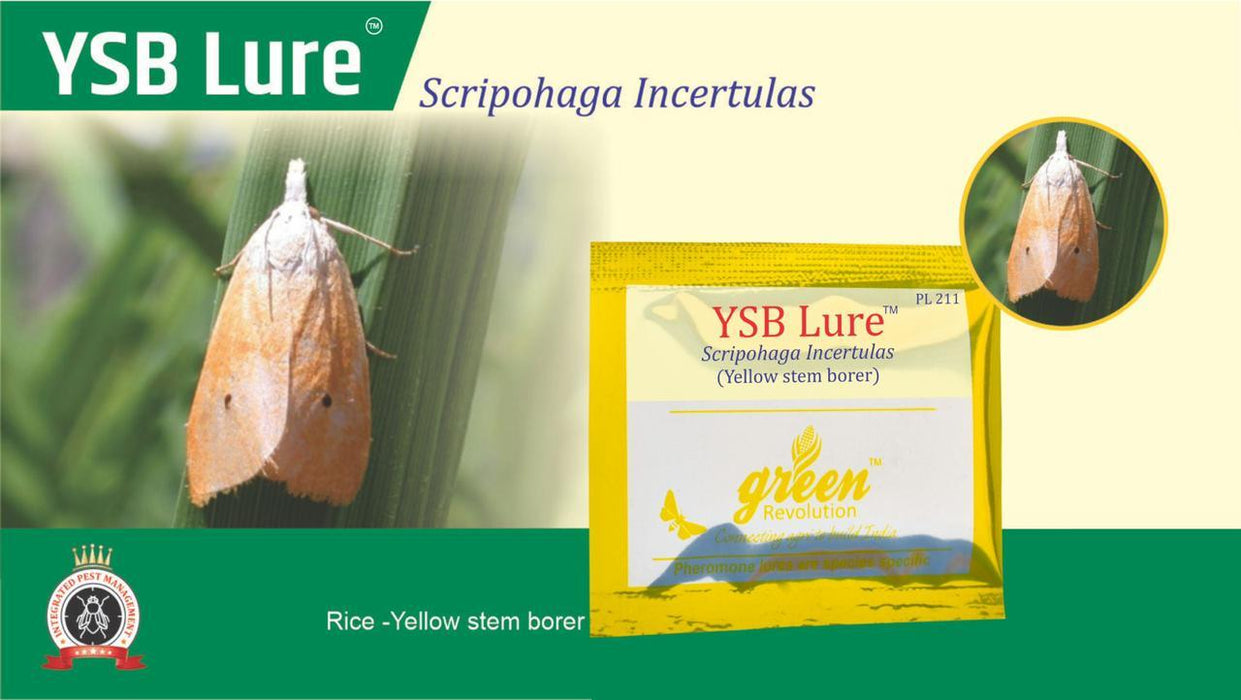 ysb lure with pheromon trap-scripohaga incertulas(green revolution) 10 nos lure