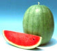 yamuna/यमुना hybrid watermelon (known you seeds)
