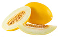 yellow sun melon sharda f1 hybrid muskmelon