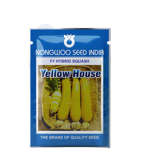 yellow house house f1 hybrid squash (nongwoo seed india)