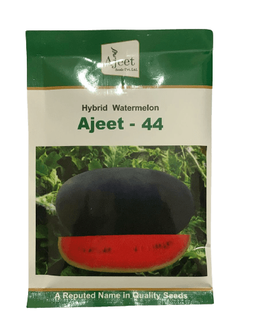 ajeet 44 f1 hybrid watermelon (ajeet seed's)